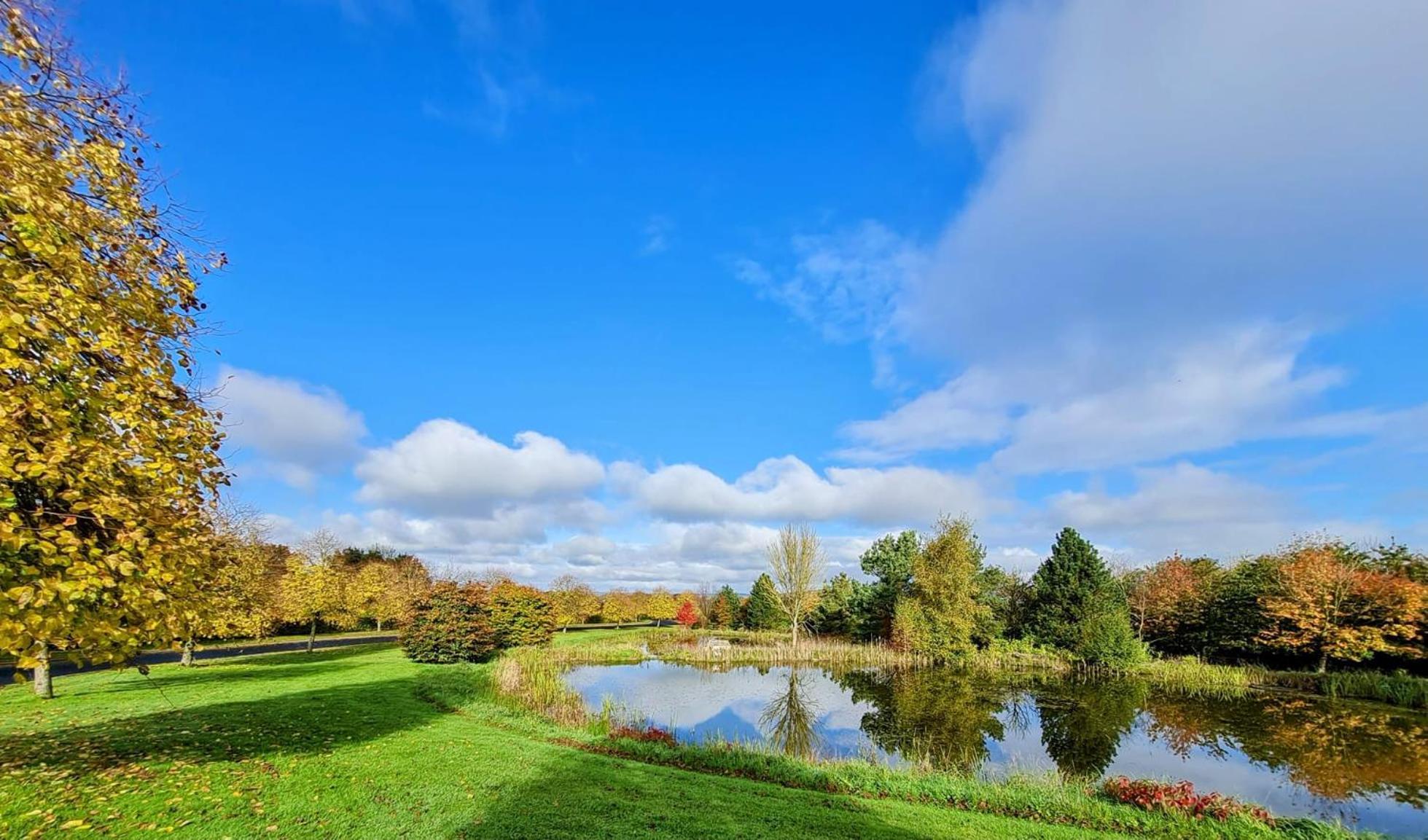Hazelwood Country House Adare Ngoại thất bức ảnh