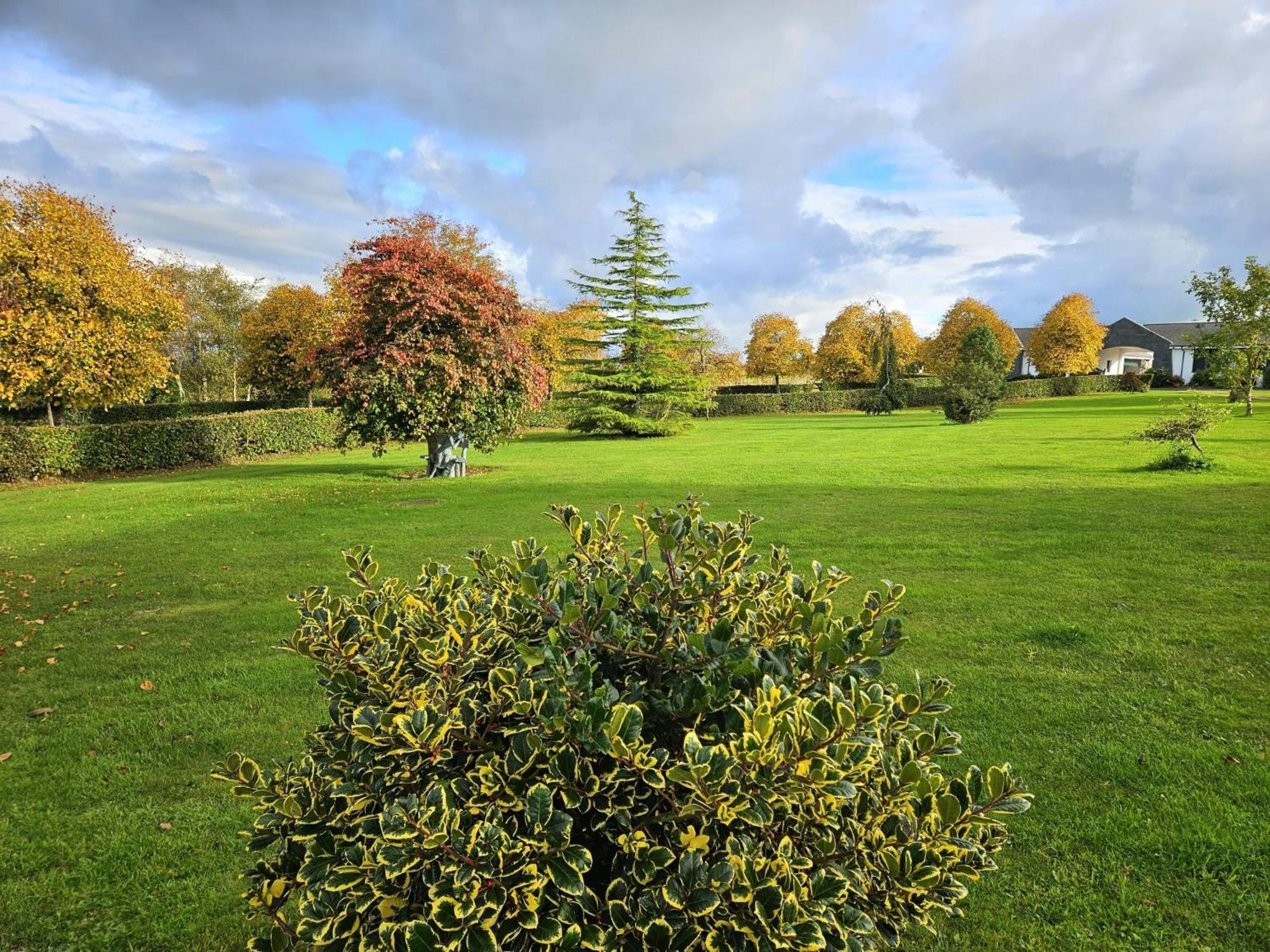 Hazelwood Country House Adare Ngoại thất bức ảnh