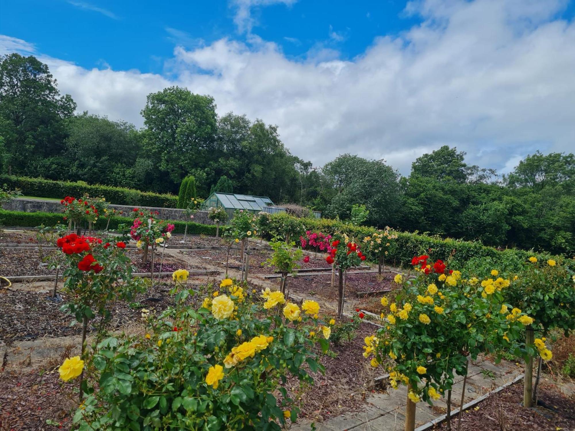 Hazelwood Country House Adare Ngoại thất bức ảnh