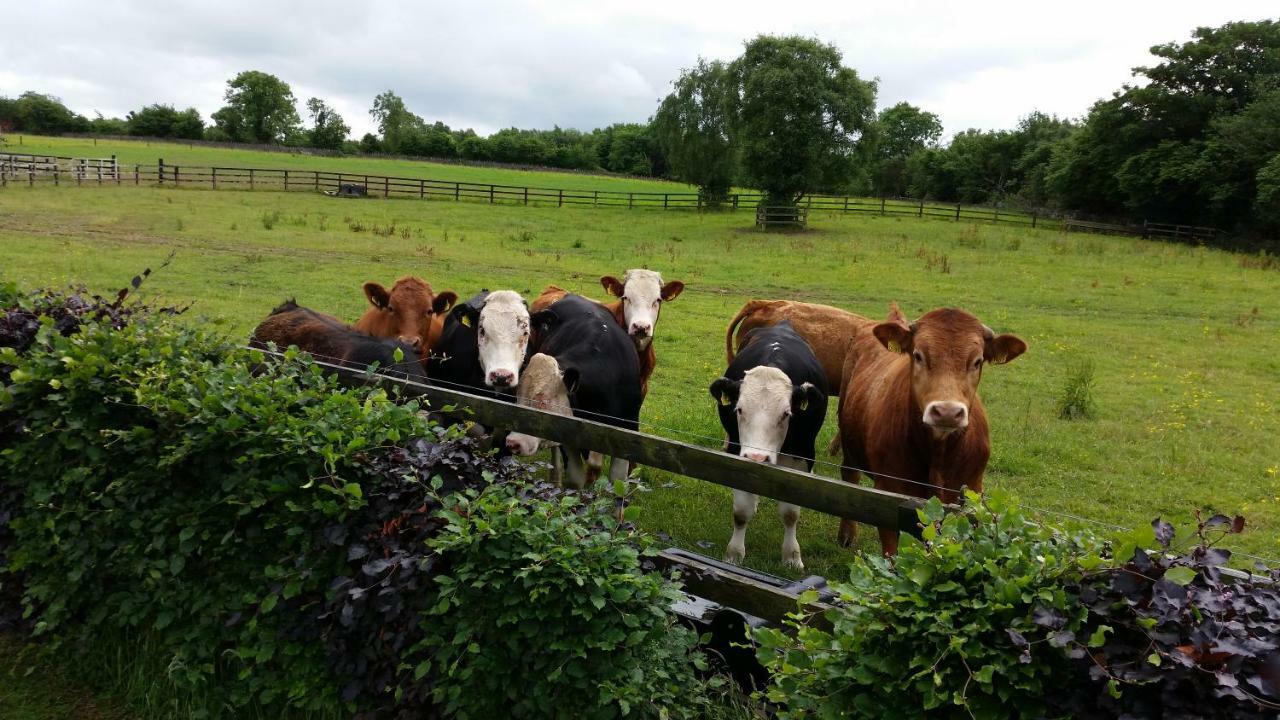 Hazelwood Country House Adare Ngoại thất bức ảnh